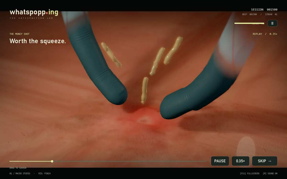 The slow-motion replay from a different angle, with a timeline and pause, speed and skip buttons along the bottom.